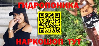 гидропоника Сланцы