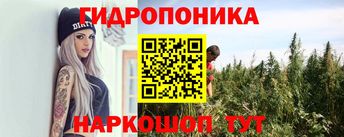 Марихуана сатива  Вход с VPN  Орёл  Шишки марихуана марихуана 